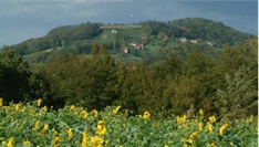 ortsteil-gossendorf